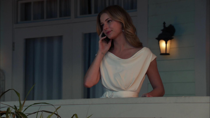 Emily van Camp pic #1218636