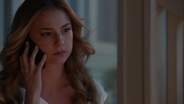 Emily van Camp pic #1218652