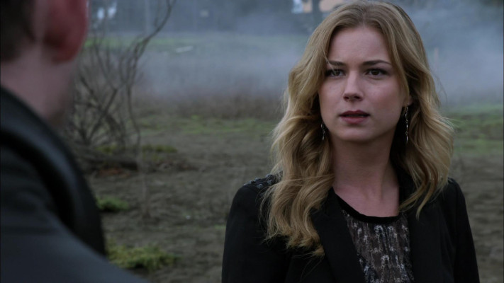 Emily van Camp pic #1218649