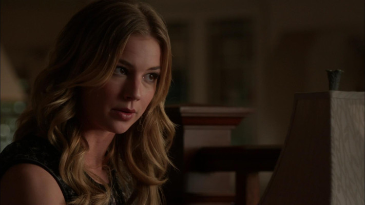Emily van Camp pic #1218644