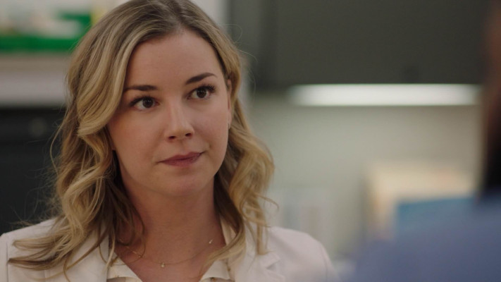 Emily van Camp pic #1273124