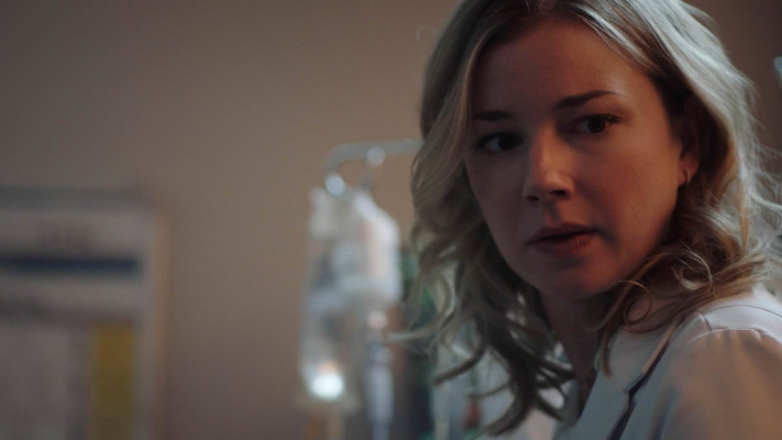 Emily van Camp pic #1273120