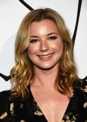 Emily van Camp pic #1206276