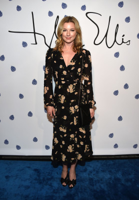 Emily van Camp pic #1205951