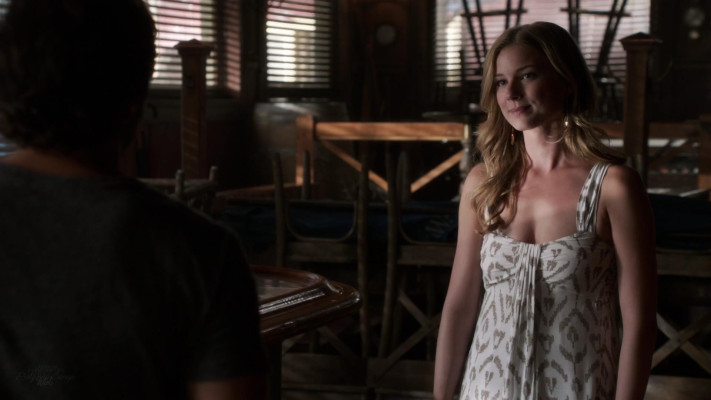 Emily van Camp pic #1276905