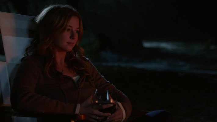 Emily van Camp pic #1276912