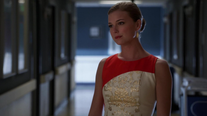 Emily van Camp pic #1276913