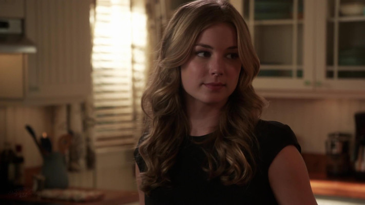 Emily van Camp pic #1225377
