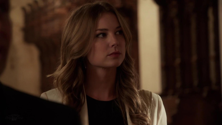 Emily van Camp pic #1225379
