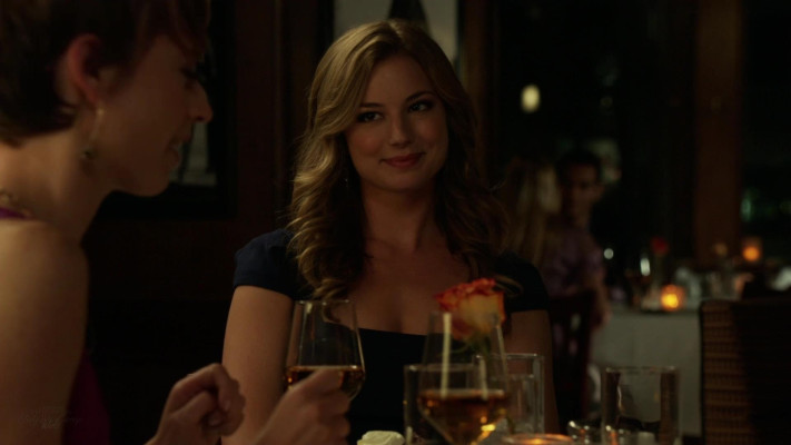 Emily van Camp pic #1225381