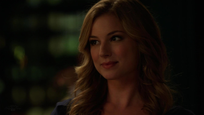 Emily van Camp pic #1225383