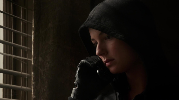 Emily van Camp pic #1225393