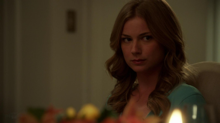Emily van Camp pic #1225396