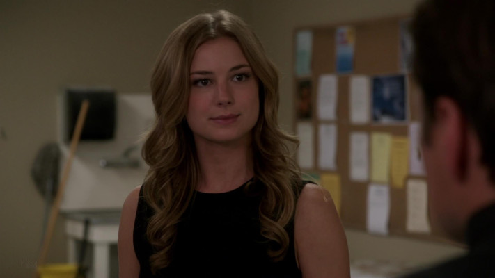 Emily van Camp pic #1225402