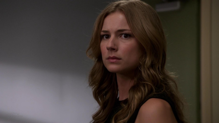 Emily van Camp pic #1225404