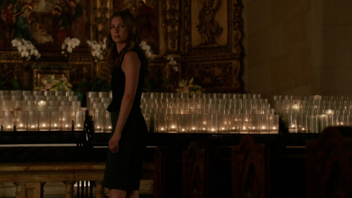 Emily van Camp pic #1225407