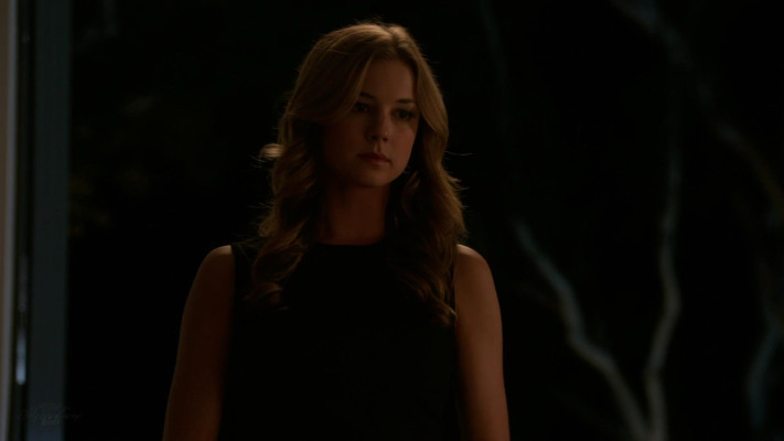 Emily van Camp pic #1225409