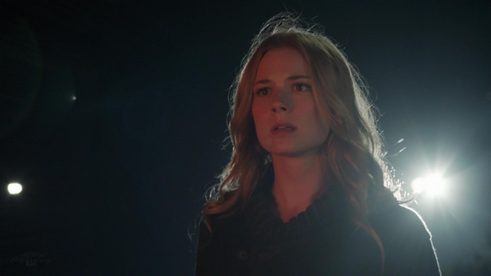 Emily van Camp pic #1216394