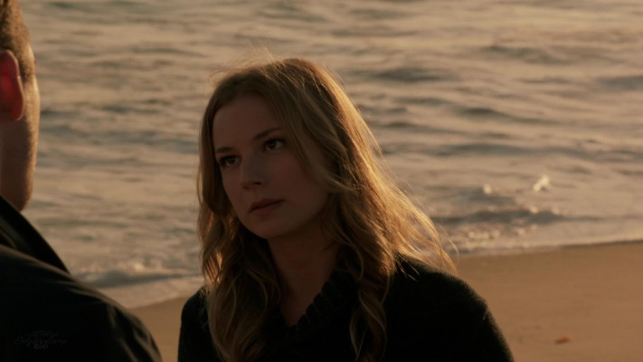 Emily van Camp pic #1216391