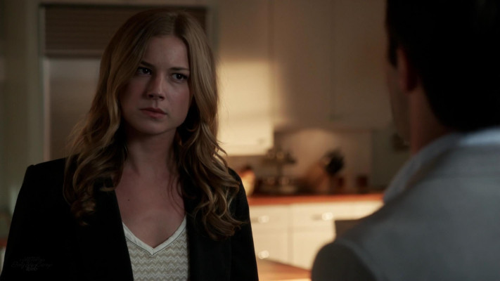 Emily van Camp pic #1216396