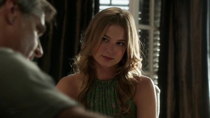 Emily van Camp pic #1216398