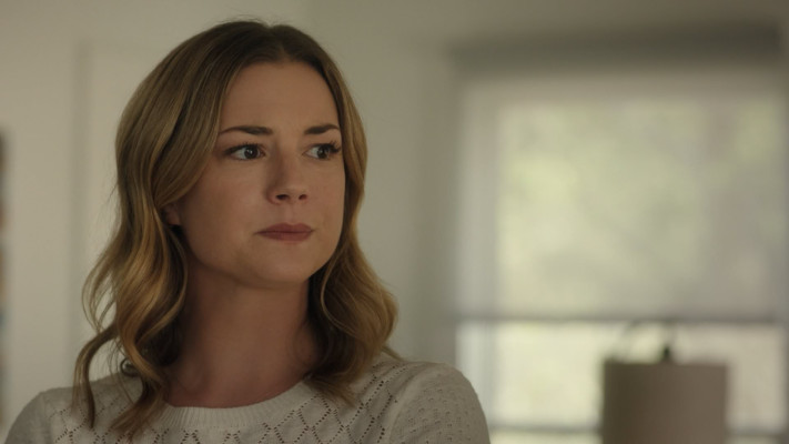Emily van Camp pic #1258116