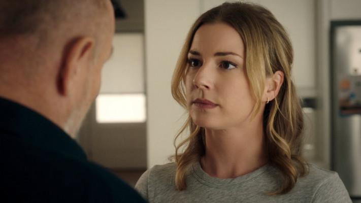 Emily van Camp pic #1258117