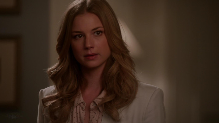 Emily van Camp pic #1218298
