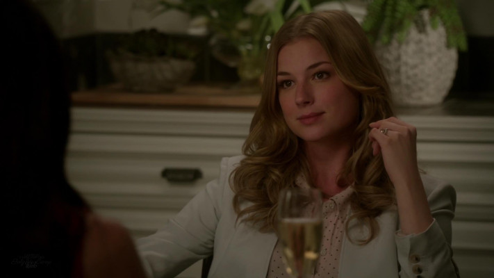 Emily van Camp pic #1218291