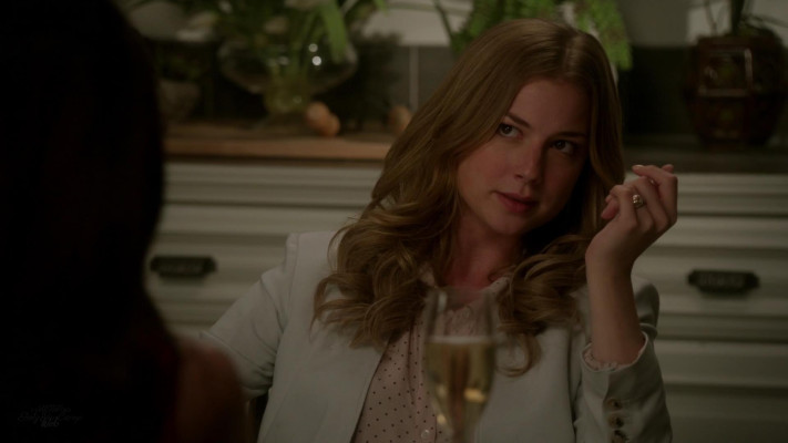 Emily van Camp pic #1218289