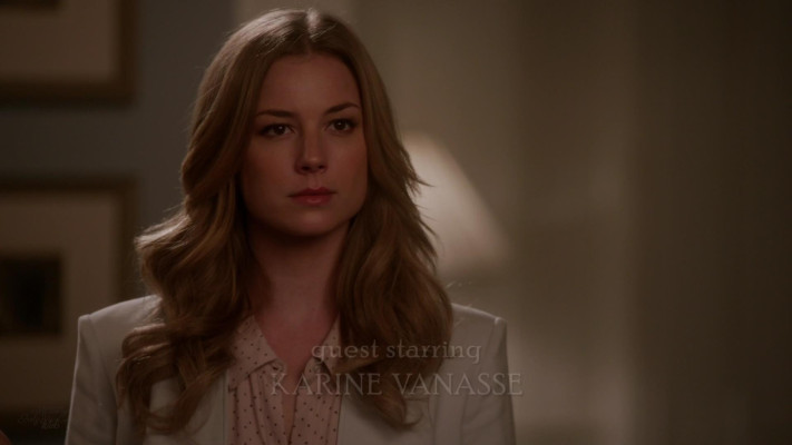 Emily van Camp pic #1218286
