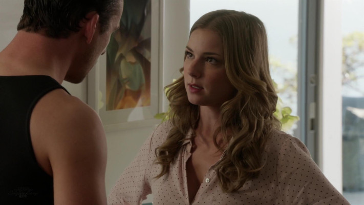 Emily van Camp pic #1218294