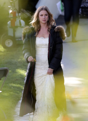 Emily van Camp pic #1245783