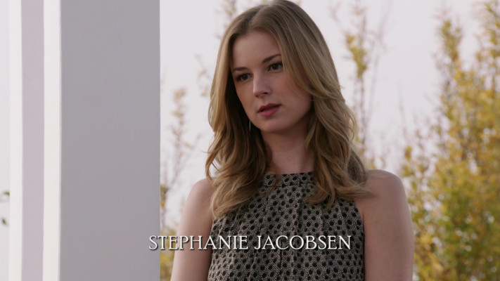Emily van Camp pic #1231215