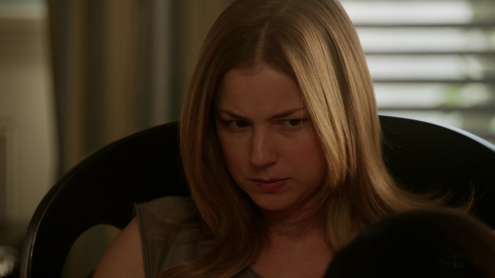 Emily van Camp pic #1231217
