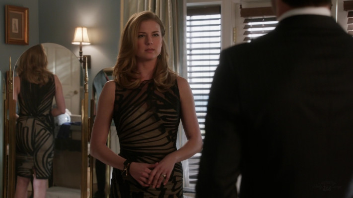 Emily van Camp pic #1231220