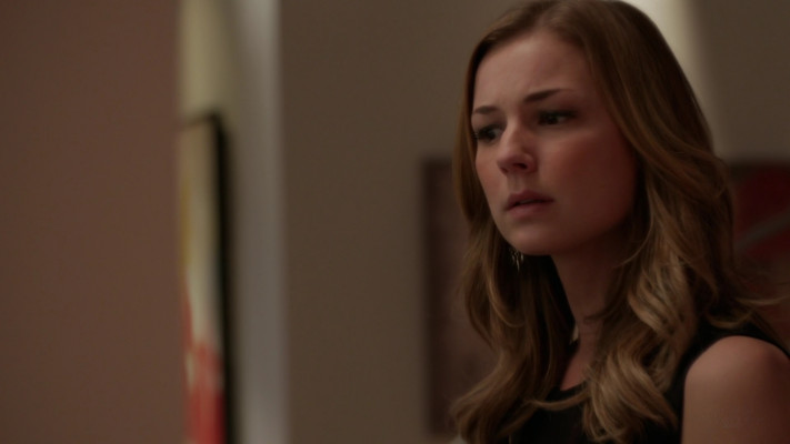 Emily van Camp pic #1231221