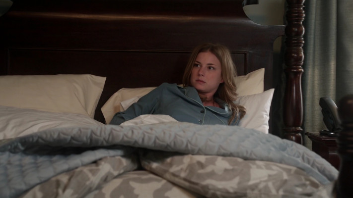Emily van Camp pic #1231129