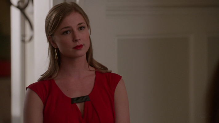 Emily van Camp pic #1231131