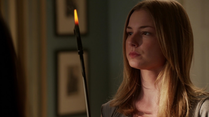 Emily van Camp pic #1231207