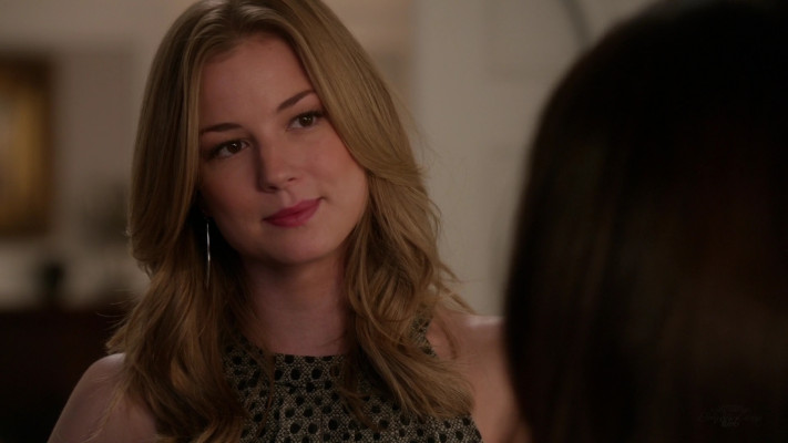 Emily van Camp pic #1231213