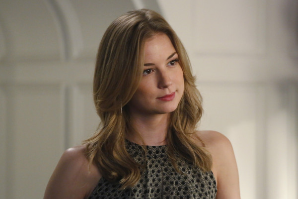 Emily van Camp pic #1231203