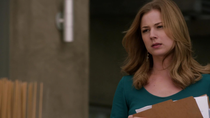 Emily van Camp pic #1271978