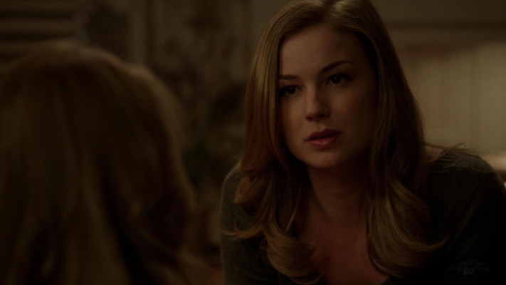 Emily van Camp pic #1271992