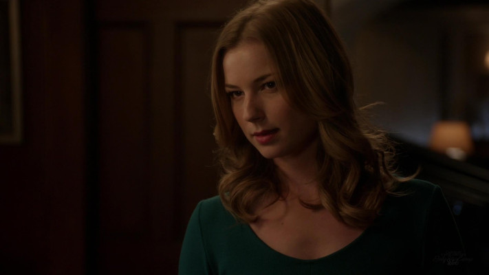 Emily van Camp pic #1271986