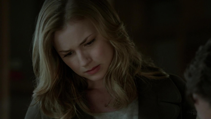 Emily van Camp pic #1216690