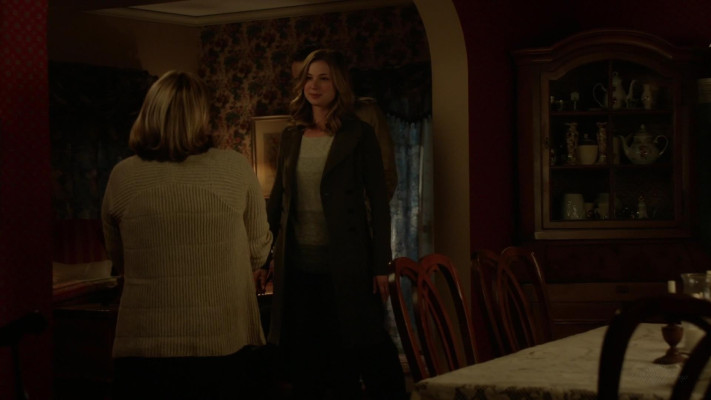 Emily van Camp pic #1216689