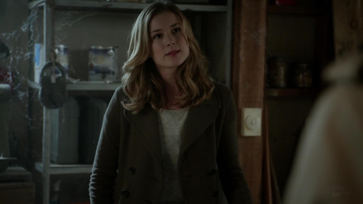 Emily van Camp pic #1216704