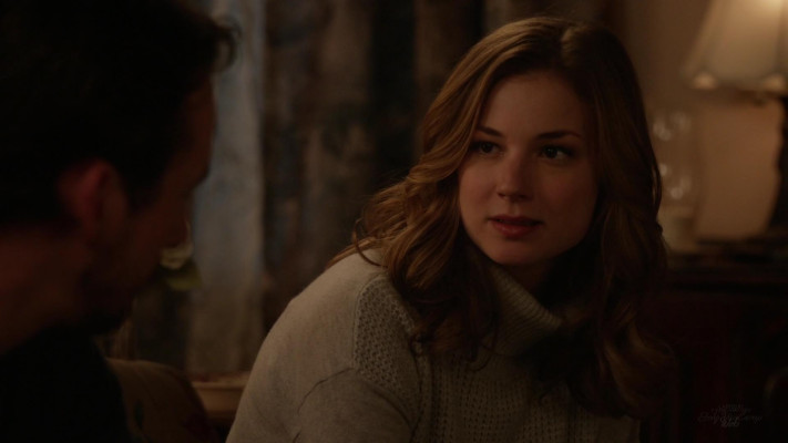 Emily van Camp pic #1216703