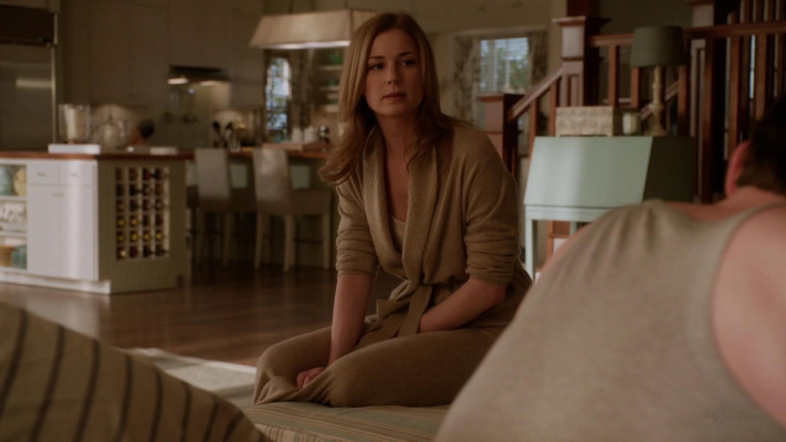 Emily van Camp pic #1216699